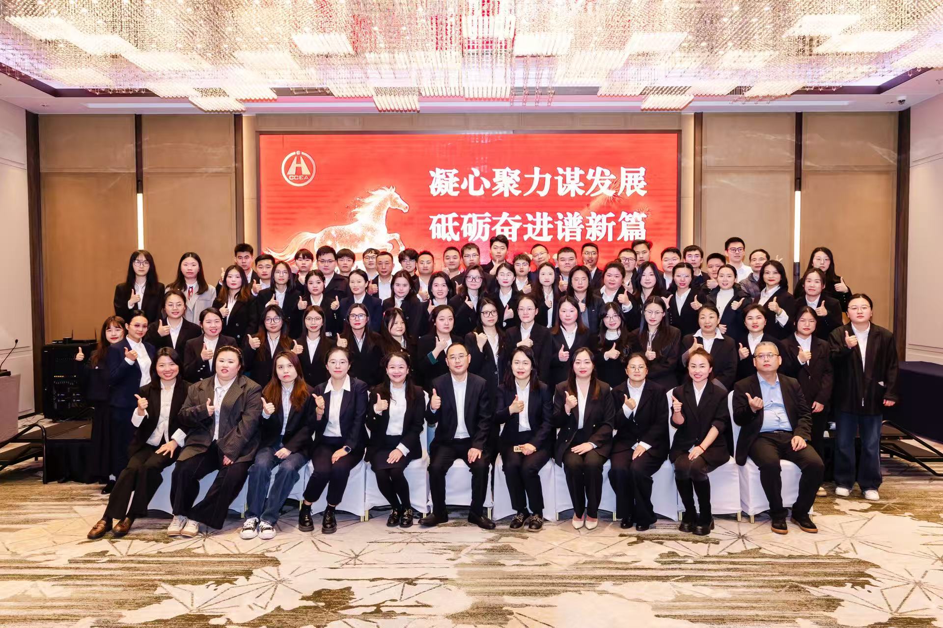 四川PINNACLE召开2025年度工作总结会议